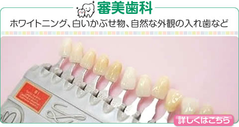 審美歯科　ホワイトニング、白いかぶせ物、自然な外観の入れ歯など