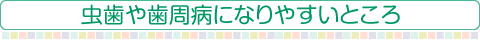 虫歯や歯周病になりやすいところ